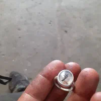 انگشترشجر|کلکسیون و سرگرمی|کرمانشاه, |دیوار