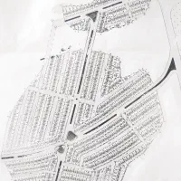 زمین-در-جانوسلو