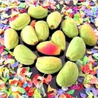 انجیر گردو|خوردنی و آشامیدنی|اصفهان, توپخانه ارتش|دیوار