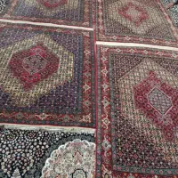 قالی یا جا نمازی دست بافت|فرش|سنندج, |دیوار