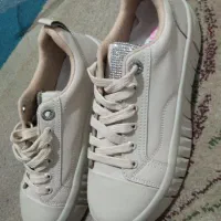 کفش مردانه و زنانه|کیف، کفش، کمربند|آمل, |دیوار