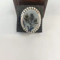 انگشتر های سیترین و شجر رکاب شیخ احمد زنجان|جواهرات|ابهر, |دیوار