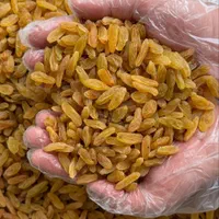 مویز،کشمش،شیره انگور (عمده خرده)|خوردنی و آشامیدنی|بوشهر, |دیوار