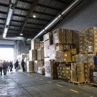 نیرو در بخش های مختلف گمرک