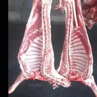 کشتار امروز گوشت گوسفندی کاور نر1.400دمبه 8.50،