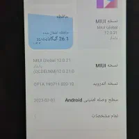 الباجی