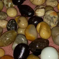 مهر|کلکسیون اشیاء عتیقه|بوشهر, |دیوار