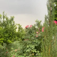ویلا باغ|اجارهٔ کوتاه‌مدت ویلا و باغ|ایذه, |دیوار