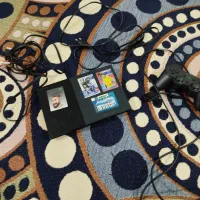 سونی دو  فلش دار