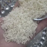برنج محلی دورود لرستان