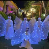 دفنوازی بالفرشته