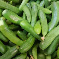 خیار خیار شوری ریز و  جا نوشابه ای و نول ودرشت|خوردنی و آشامیدنی|قروه, |دیوار
