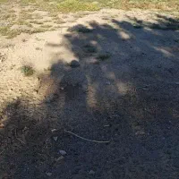 باغ فروشی تقاب و فخرآباد