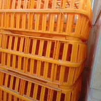 12عدد جعبه مرغ