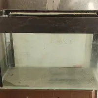 اکواریوم به همراه لوازم