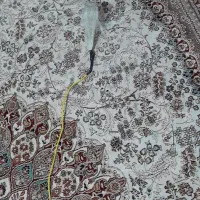 تورپرتابی