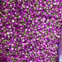 فروش تناژ گل محمدی دست اول از باغدار