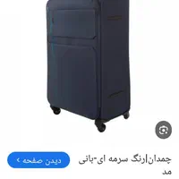 چمدان گم شده