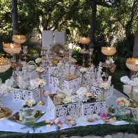 دیزاین سفره عقد و بادکنک ارایی و عقد اریایی