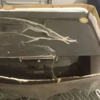 هود با این شماره تماس بگیرید