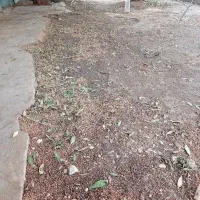 نیازمند راننده پایه یک کار با کمپرسی تک