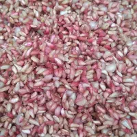 ناردونه تمیز وبهداشتی|خوردنی و آشامیدنی|شیراز, سلطان آباد|دیوار