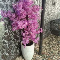 گلدان تزیینی