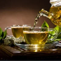 فراخوان آموزش گیاه شناسی