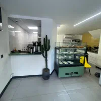 نیرو خانم کافه