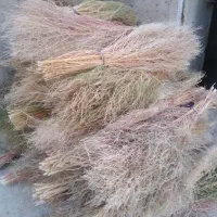 جارو|لوازم نظافت|اسدآباد, |دیوار
