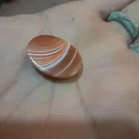 زیور الات|جواهرات|اصفهان, شاه پسند|دیوار