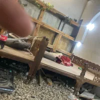 تخت چوبی|تخت و سرویس خواب|تهران, شادمان|دیوار
