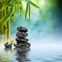 تراپی و ماساژ حرفه ای