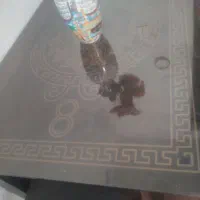 میزناهارخوری ۶نفره|میز و صندلی غذاخوری|اصفهان, امینآباد|دیوار