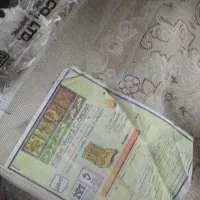 فرش نه متری گردویی ۲۷۰۰وکرم ۲۳۰۰|فرش|قم, چهل اختران|دیوار