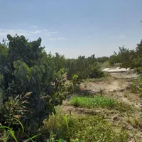 فروش زمین ۱/۵هکتار ، فنس کشی شده|فروش زمین و ملک کلنگی|شهریار, شهرک شاهد|دیوار