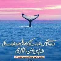 پلاک زنجیر گم کردم