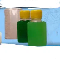 درمان قطعی شپش|آرایشی، بهداشتی، درمانی|کرج, گلدشت|دیوار