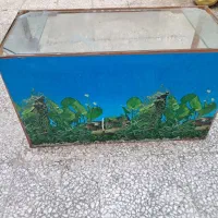 شیشه  آکواریوم