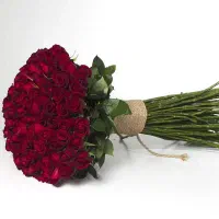 گل رز سرخ هلندی + ارسال فوری و رایگان دسته گل