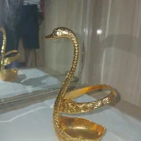 قوطلایی بسیارزیبا