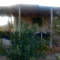 فروش باغ