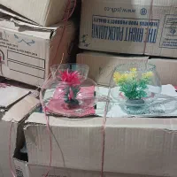 تنگ ماهی|ماهی|محمدشهر, یزدیها|دیوار