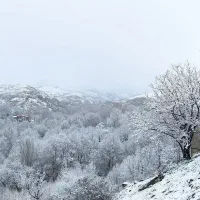 سوئیت تمیز و گرم با منظره برفی در ابرده