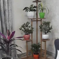 (۹۰)استند های دکوری جذاب ،استند گل ،قفسه دکوری|گل و گیاه طبیعی|رشت, جانبازان|دیوار
