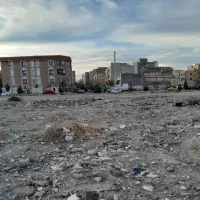 زمین تک برگ سند