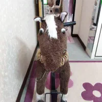 اسب