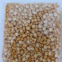 پخش موادغذایی،. برنج، حبوبات وادویه|خوردنی و آشامیدنی|مشهد, نوید|دیوار