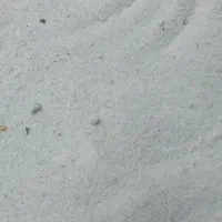شکر