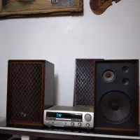 امپ مرنتز، باند سنسویی